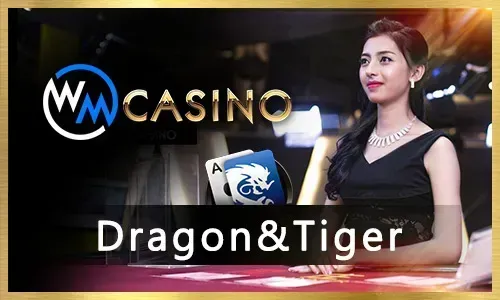 Daily Rewards and Cashback